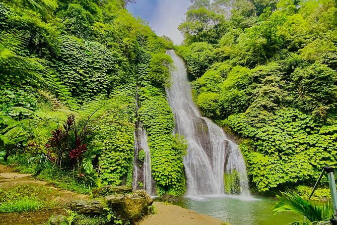 Ubud : Kintamani Downhill Cycling Tour with Lunch - Pickup, Transport, and How the Day Fits Together