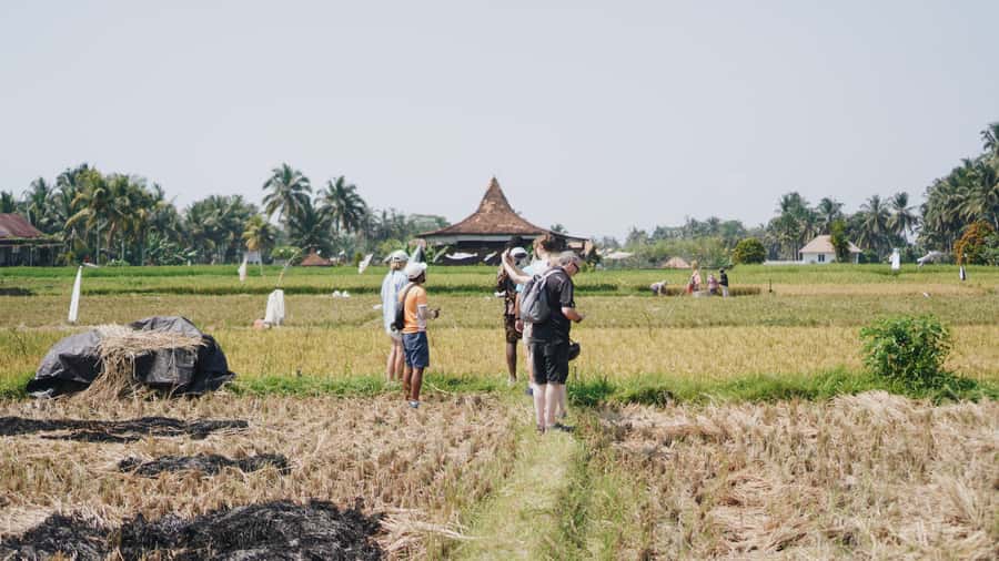 Ubud: Rice Terraces & Villages Half-Day Fat Tire E-Bike Tour - Top reasons this Ubud e-bike tour works