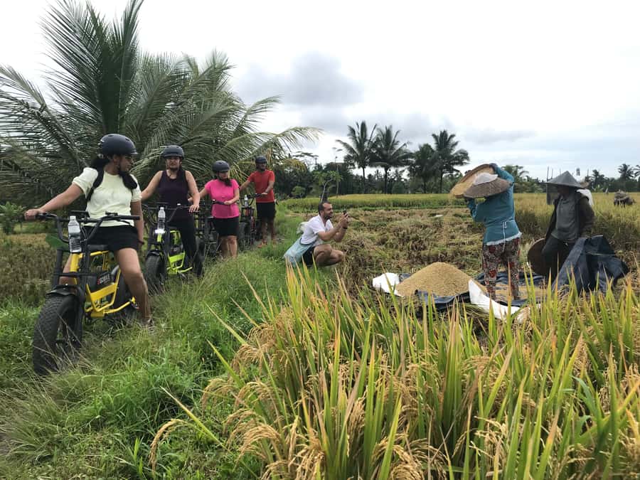Ubud: Rice Terraces & Villages Half-Day Fat Tire E-Bike Tour - Entering Ubud by fat-tire e-bike (and why that matters)