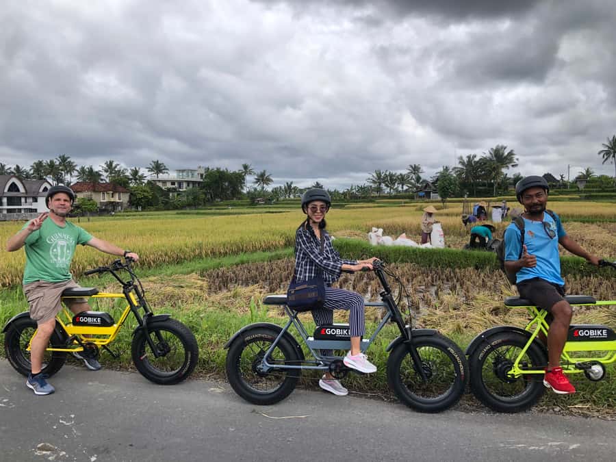 Ubud: Rice Terraces & Villages Half-Day Fat Tire E-Bike Tour - Temples, back roads, and what your guide points out along the way