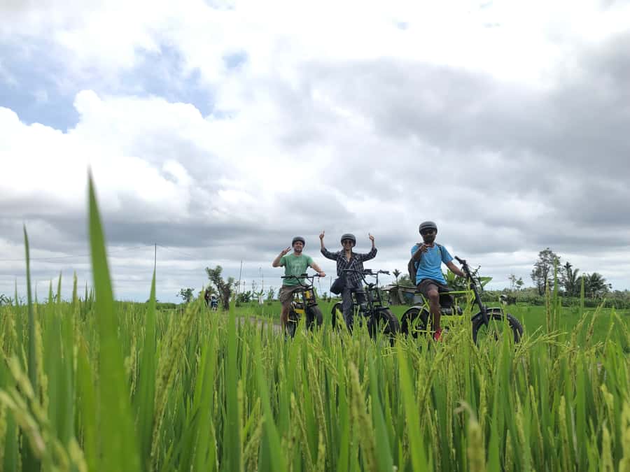 Ubud: Rice Terraces & Villages Half-Day Fat Tire E-Bike Tour - The Street of Love farm stop: cycling through real paddies
