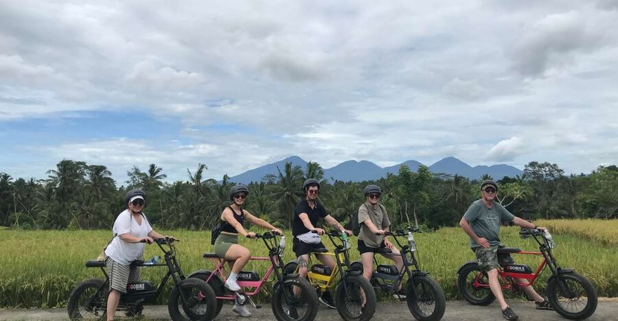 Ubud: Rice Terraces & Villages Half-Day Fat Tire E-Bike Tour - Lunch in Ubud: a Balinese meal that ends the ride well