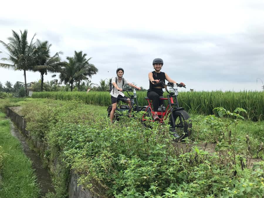 Ubud: Rice Terraces & Villages Half-Day Fat Tire E-Bike Tour - Price and logistics for a 4-hour half day