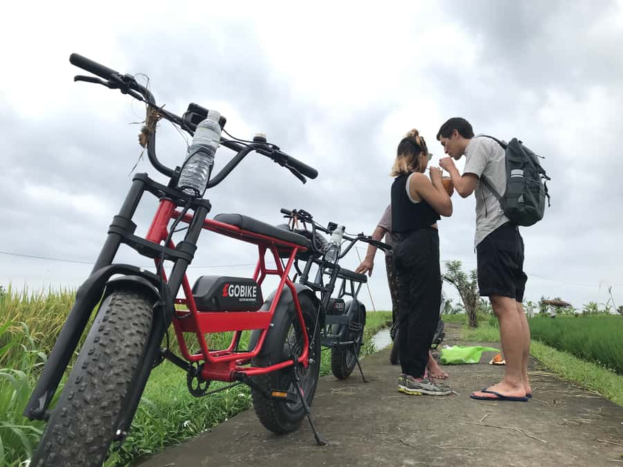 Ubud: Rice Terraces & Villages Half-Day Fat Tire E-Bike Tour - Who should book (and who should skip) this e-bike ride