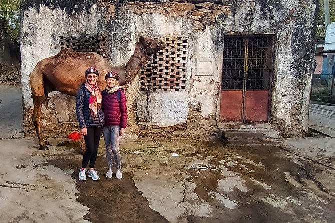 Udaipur Bicycle Tour - Fateh Sagar Lake: your first big view of the morning