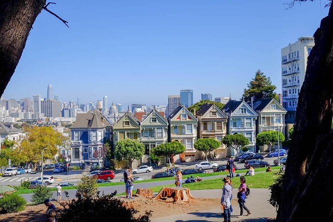 Ultimate Electric SF Bike Tour- food, icons & local hidden gems - Painted Ladies at Alamo Square and more “wow” houses