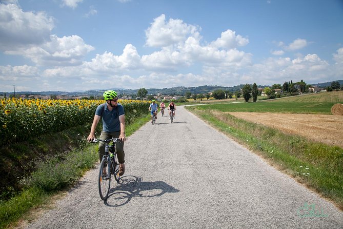 Umbria E-Bike & Wine Tour through Vineyards and Olive Groves - Key highlights you’ll actually care about