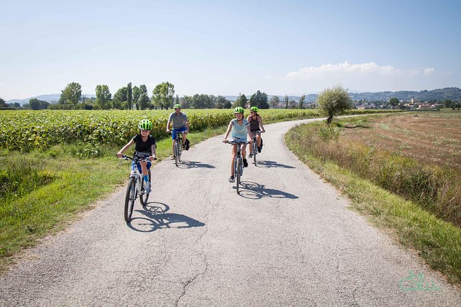 Umbria E-Bike & Wine Tour through Vineyards and Olive Groves - The Spoleto–Assisi bicycle path: a scenic 10 km stretch toward Cannara