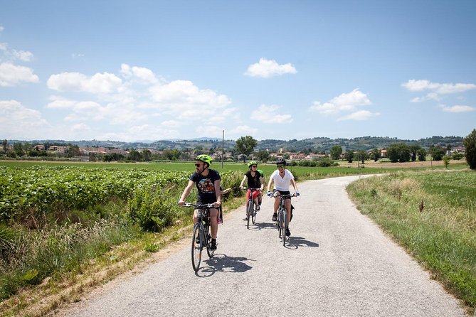 Umbria E-Bike & Wine Tour through Vineyards and Olive Groves - Wrapping up: the quick ride back to your start