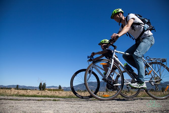 Umbria E-Bike & Wine Tour through Vineyards and Olive Groves - Practical comfort: effort level, timing, and what to bring