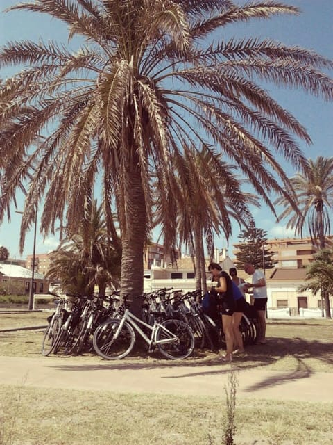 Valencia: 3-Hour City Bike Tour - Guide-led storytelling in English: humor and pace matter