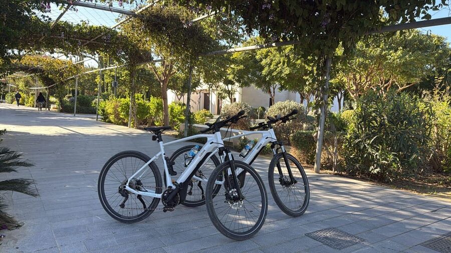 Valencia all in one: beaches, old town & city arts by E-bike - Key things to know before you go