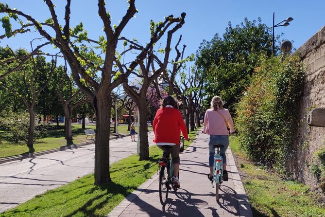 Valencia City Sights Bike Tour - Who this tour is best for (and who should consider alternatives)