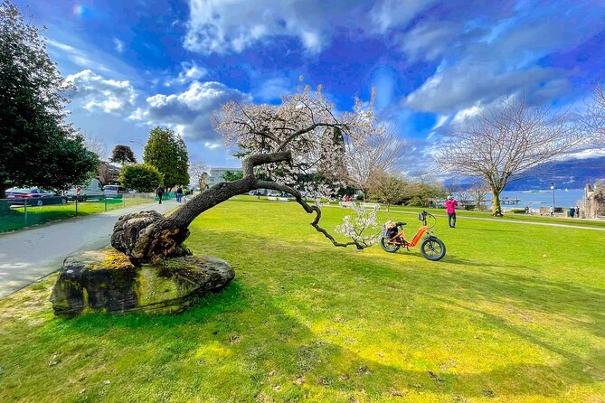 Vancouver E-Bike Rentals - Premium Seawall Bike Path Location - Granville Island and Olympic Village: city energy between waterfront stretches