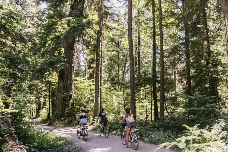 Vancouver: Guided Bike Tour - Meet at Hornby Street for a Smooth, Low-Stress Start