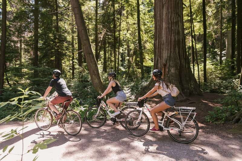 Vancouver: Half-Day City Highlights E-Bike Tour Age 16+ - Why E-Bikes Make Vancouver Sightseeing Feel Effortless