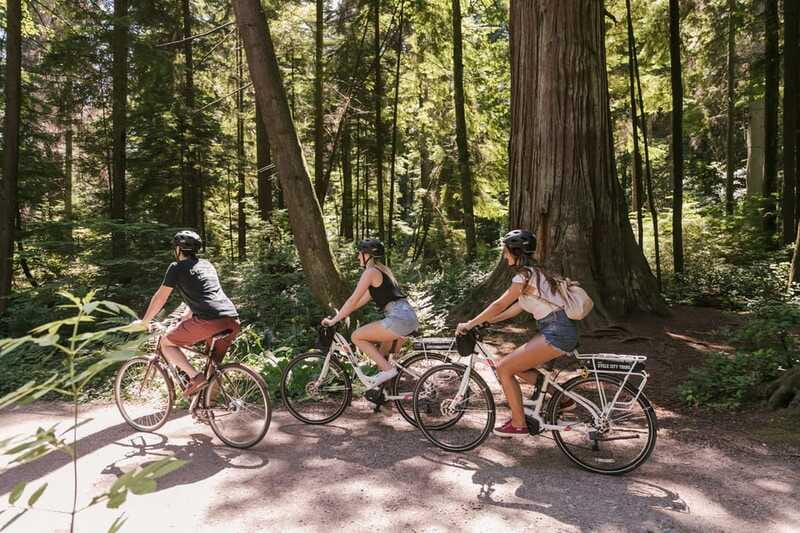 Vancouver: Half-Day City Highlights E-Bike Tour Age 16+ - Totem Poles to Beaver Lake: Nature Stops That Don’t Feel Like Detours
