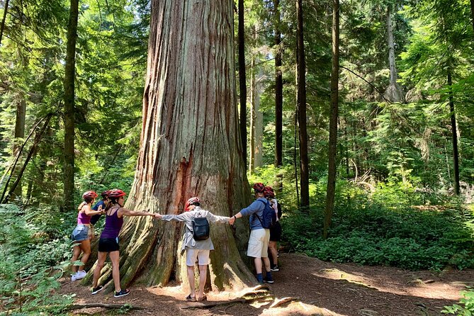 Vancouver Stanley Park 3 Hour Bike Tour - Price and Value: Why $69.99 Can Make Sense