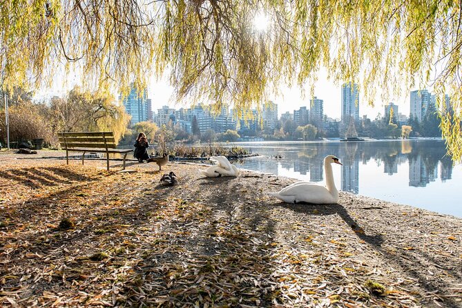 Vancouver Stanley Park 3 Hour Bike Tour - The Real Itinerary Flow: From Lord Stanley to the West End