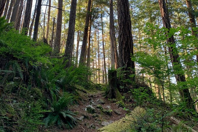 Vancouver Stanley Park 3 Hour Bike Tour - Should You Book This Stanley Park Bike Tour?