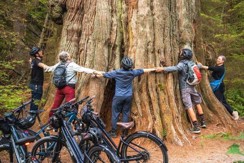 Vancouver: Stanley Park Bicycle Tour - Quick hits before you pedal