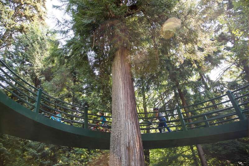 Vancouver: Stanley Park Bicycle Tour - Entering Stanley Park: the ocean outlooks that sell the whole idea