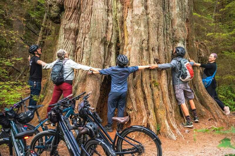 Vancouver: Stanley Park Bicycle Tour - The 12 km ride that doesn’t feel like work