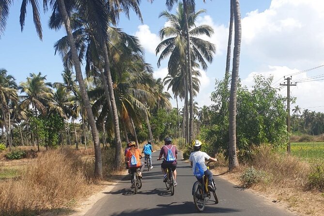 Varca Coastal E-Bike Tour: Scenic Beachside Adventure - Why Varca and an E-Bike Make Sense in Southern Goa