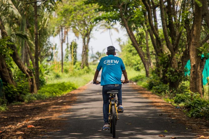 Varca Coastal E-Bike Tour: Scenic Beachside Adventure - What’s Included (and Why It’s Good Value at Around $12)