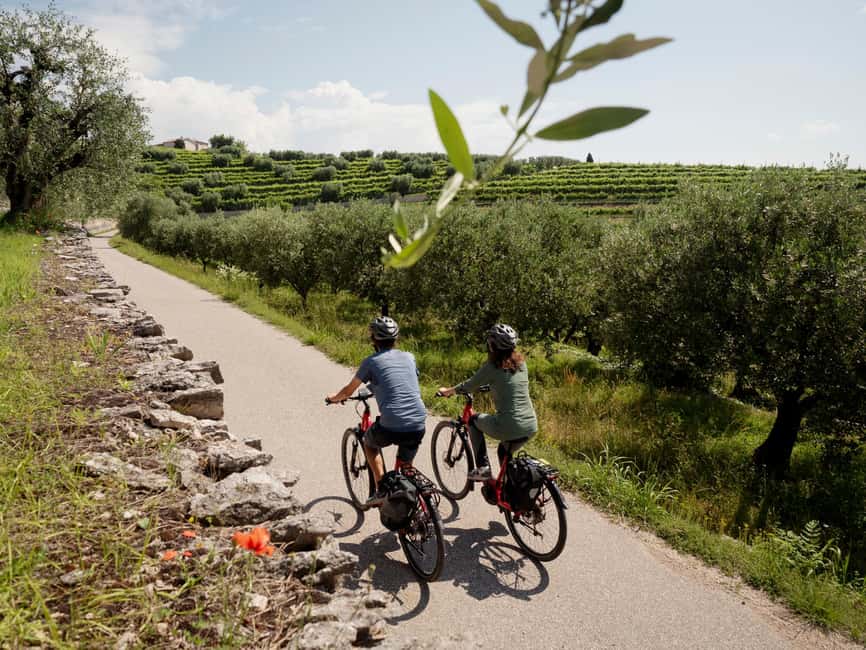 Verona: Valpolicella Wine Self-Guided E-Bike Tour & Tastings - What You Get for $105: Value in a Nutshell