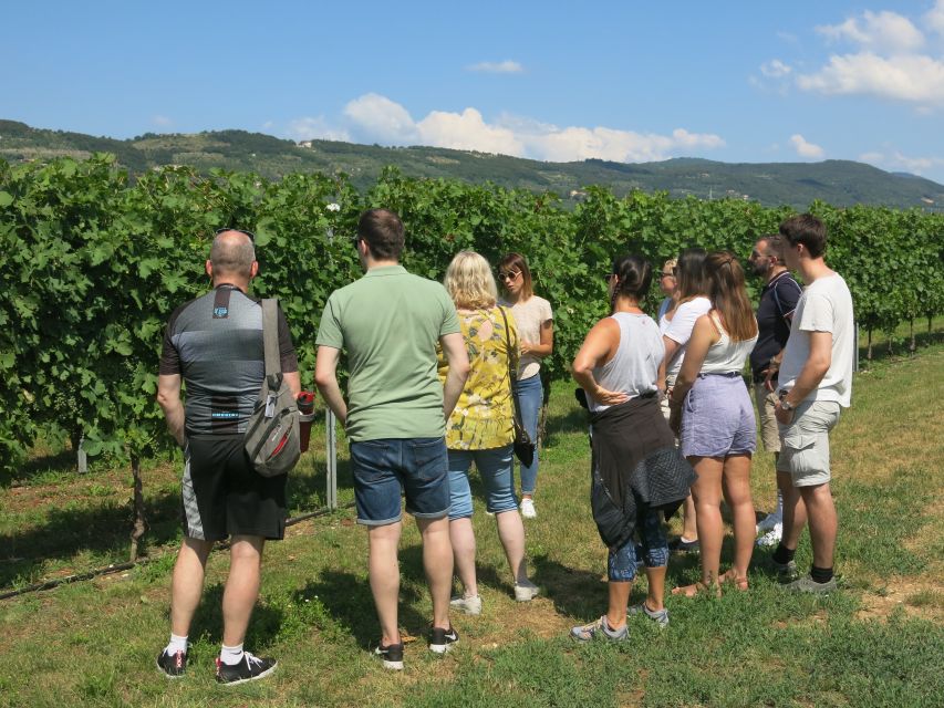 Verona: Valpolicella Wine Self-Guided E-Bike Tour & Tastings - Who This Tour Fits Best (And Who Should Skip It)