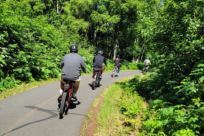 Viator Exclusive: Go eBike Alaska on Tony Knowles Trail - Who Should Book This Tour (and Who Might Skip It)