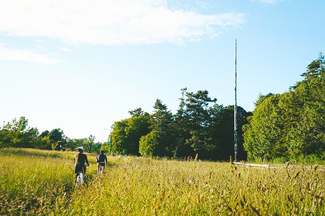 Victoria City Highlights 3 Hour Bike Tour, eBike Upgrade Avail. - Beacon Hill Park and the Totem Pole you can actually see