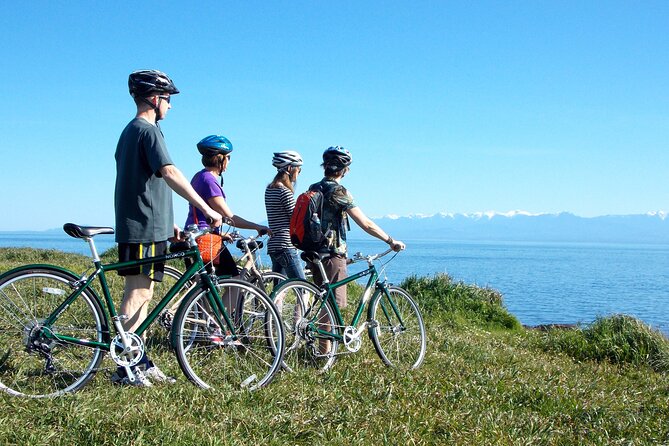 Victoria City Highlights 3 Hour Bike Tour, eBike Upgrade Avail. - Chinatown by bike: the Gate of Harmonious Interest to Fan Tan Alley