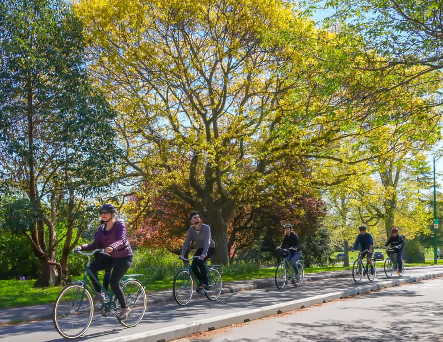 Victoria City Highlights Bike Tour - Castle Hoods & Legends - Chinatown National Historic Site and Fan Tan Alley legends