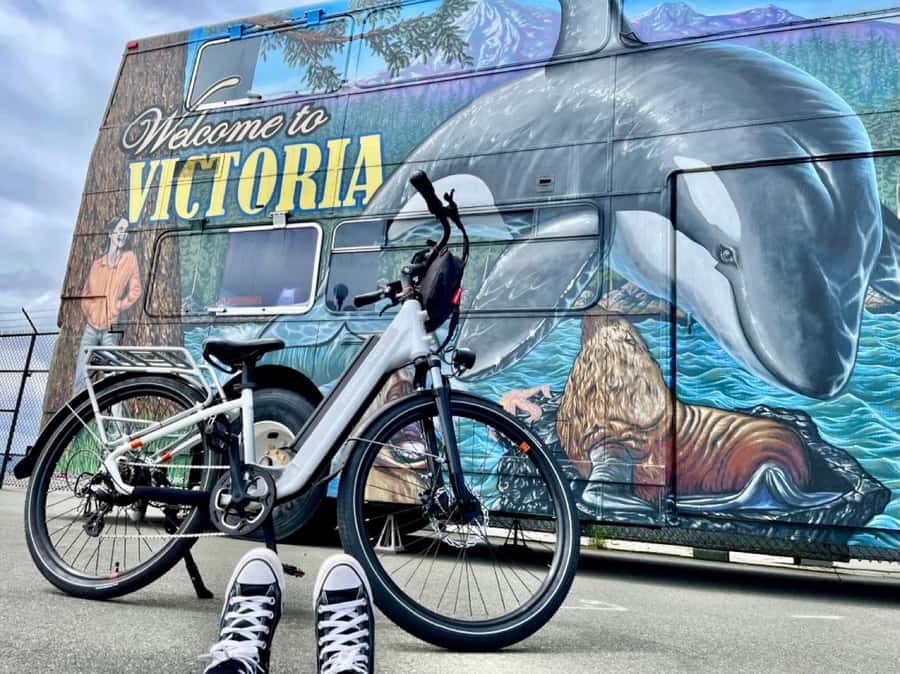 Victoria City Highlights Bike Tour - Castle Hoods & Legends - Meeting point and bike setup at The Pedaler