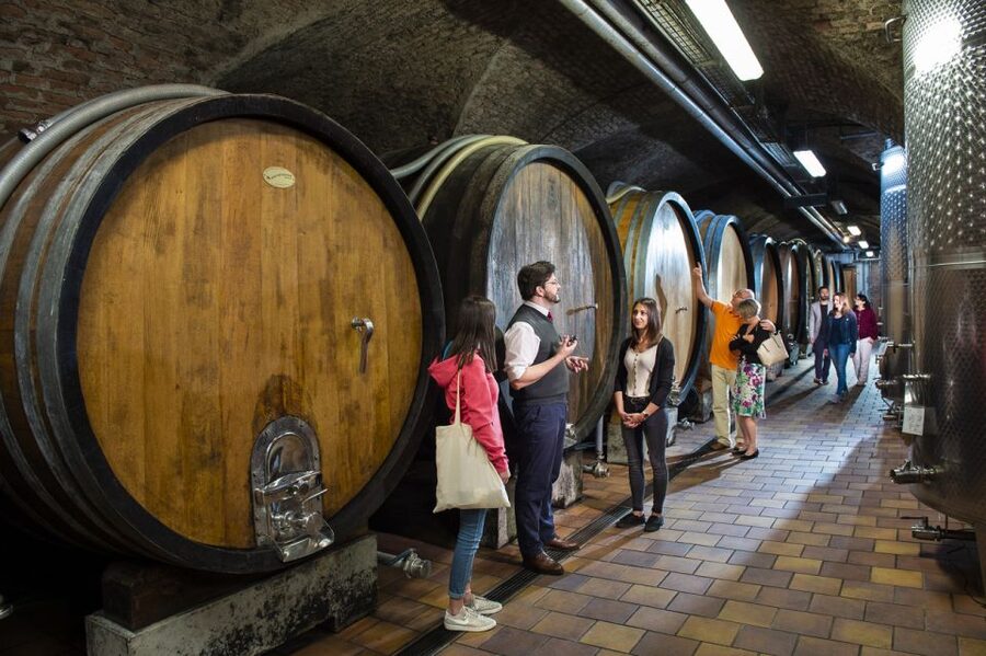 Vienna: Wine Tasting E-Bike Tour - Key things to know before you book