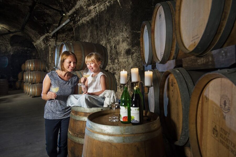 Vienna: Wine Tasting E-Bike Tour - Vienna to the Wine Cellar by E-Bike: why this day works