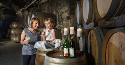 Vienna: Wine Tasting E-Bike Tour - Ringstrasse to the Danube Canal: Vienna landmarks without the museum fatigue