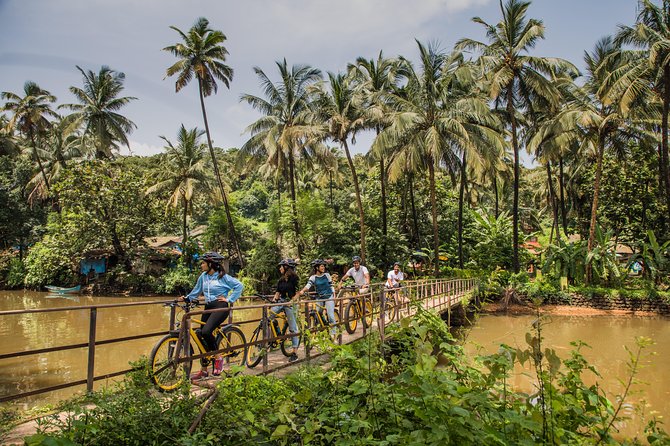 Village Vibes: Cansaulim Coastal E-Bike & Japanese Tea Tour - Meeting at Heritage Village Resort & Spa and Getting Started