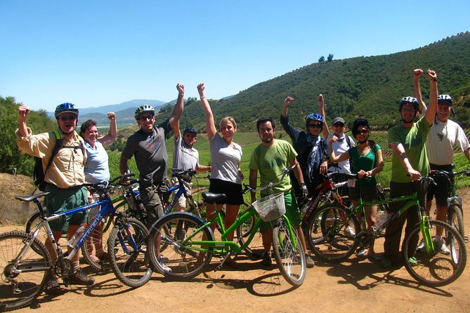 Vine and Dine Bicycle Wine Tour with Lunch - Stop 1: Diamond Estate Winery for a longer first tasting