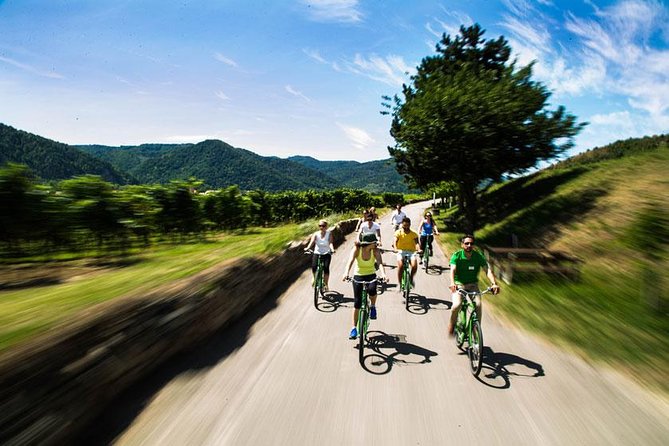 Wachau Valley Wine Tasting Bike Tour from Vienna - How Much Cycling Is Actually Involved (and Why It Feels Easy)