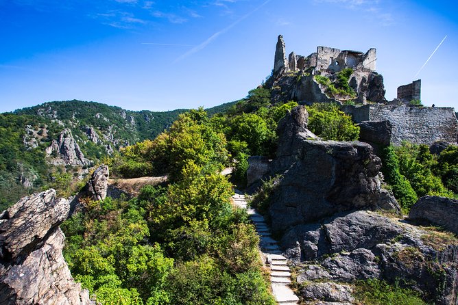 Wachau Valley Wine Tasting Bike Tour from Vienna - Wine, Lunch, and How to Spend Your Cash Smartly