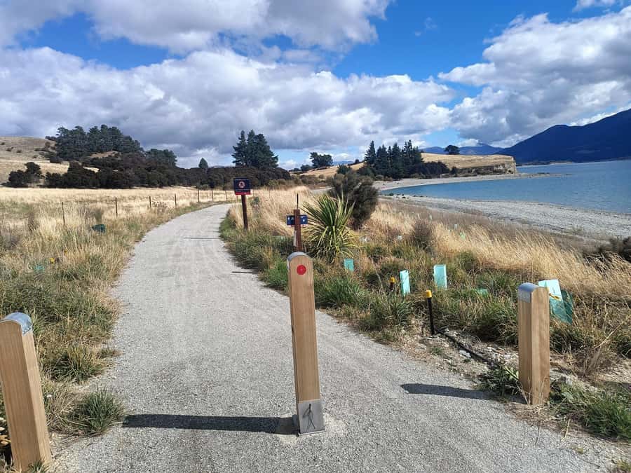 Wānaka And Hāwea: Trail Ride on Bike or E-Bike - Albert Town Bridge Toward Wānaka: Clutha River Trails and the Narrow Bits