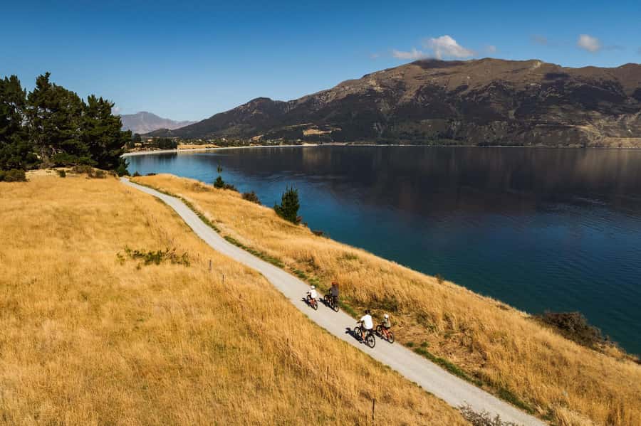 Wānaka: Gladstone Track and Wanaka Trails on Bike or eBike - #ThatWanakaTree: short photo stop, big payoff