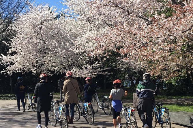 Washington DC Cherry Blossoms By Bike Tour - The route: Tidal Basin and East Potomac Park without a long haul