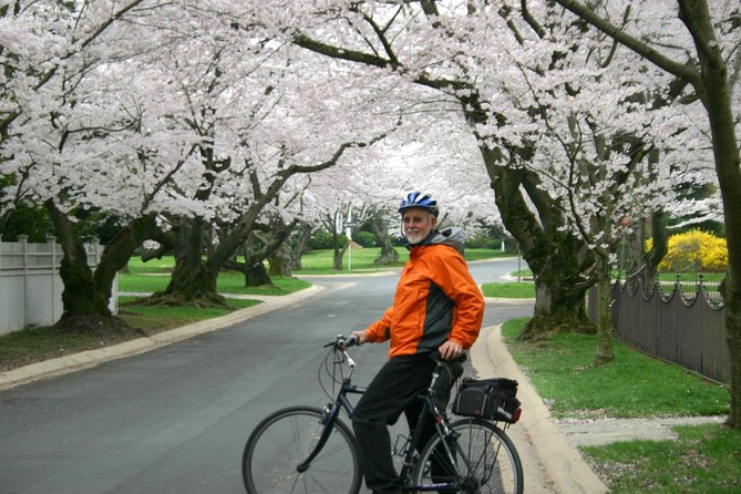 Washington DC Cherry Blossoms By Bike Tour - Who should book this cherry blossom bike tour