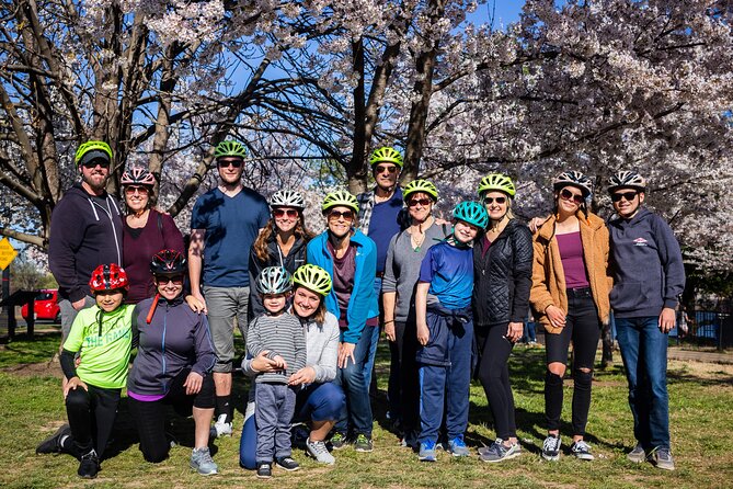 Washington DC Cherry Blossoms By Bike Tour - Timing the blooms: peak April 3–6 vs. the shoulder days