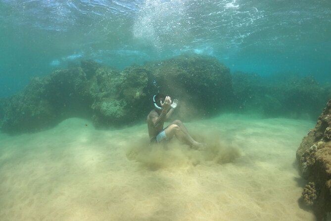 Water Bike Tour in South Maui - Key Things I’d Prioritize Before You Go