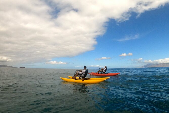 Water Bike Tour in South Maui - Wildlife Moments: When the Ocean Adds Surprise